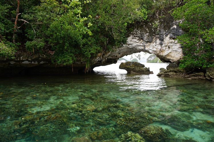 

Spot lain di Teluk Kabui di Raja Ampat.Spot lain di Teluk Kabui di Raja Ampat.
