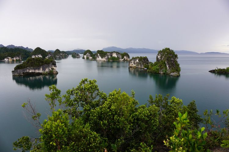 


Pulau Manyaifun atau Bukit Raja di Teluk Kabui, Raja Ampat.