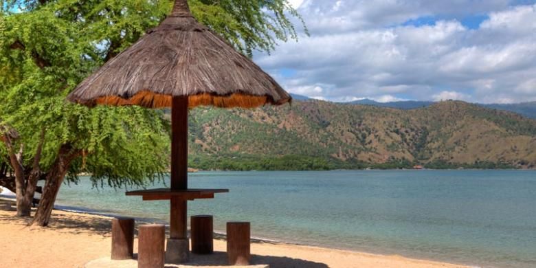 


Pantai di Timor Leste.