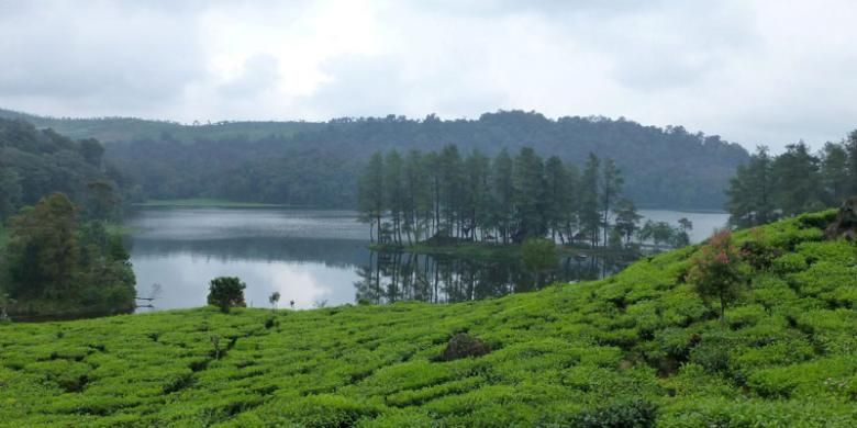 Situ Patenggang, danau eksotik, Minggu (1/3/2015), di Desa Patengan, Kecamatan Rancabali, Kabupaten Bandung, Jawa Barat, tampak elok  dengan kondisi khasnya yang meneduhkan dan hening dibalut dengan hawa sangat sejuk. Hamparan kebun teh yang subur dan hijau juga membuat daya tarik tersendiri bagi danau ini.