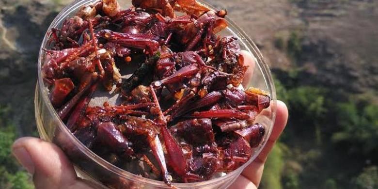 Belalang goreng ala Gunungkidul, Yogyakarta. Hama yang jadi berkah ketika diolah jadi kuliner.