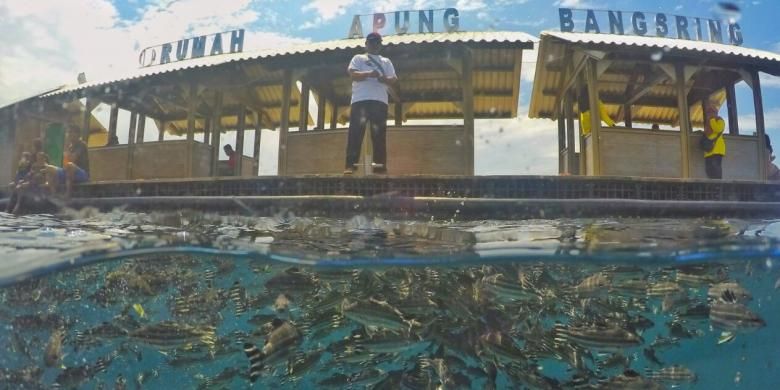 
Bangsring Underwater di Pantai Bangsring, Banyuwangi, Jawa Timur yang dikelola kelompok nelayan Samudra Bhakti.(KOMPAS.COM/IRA RACHMAWATI)