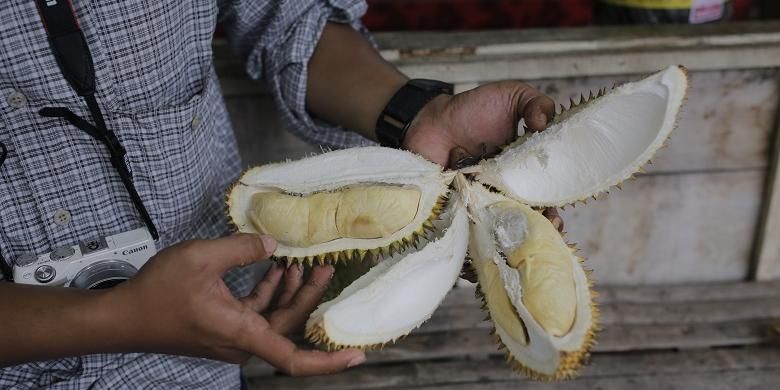 
Wisatawan menikmati daging buah durian Criwik di pinggir Jalan Jatirogo, Lasem, Rembang, Jawa Tengah, Minggu (12/2/2017). Durian Criwik adalah salah satu buah yang dihasilkan dari Desa Criwik, Kecamatan Pancur, Kabupaten Rembang, Jawa Tengah. 