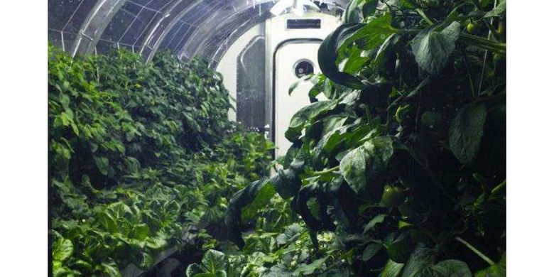 


Tabung sepanjang 5,5 meter ini berisi kebun hidroponik yang mendaur ulang udara, air, dan sampah.
 