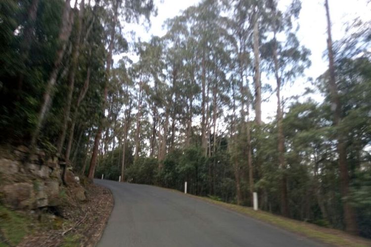


Suasana jalan menuju ke puncak Gunung Wellington, Hobart, Tasmania.(Kompas.com/Ervan Hardoko)