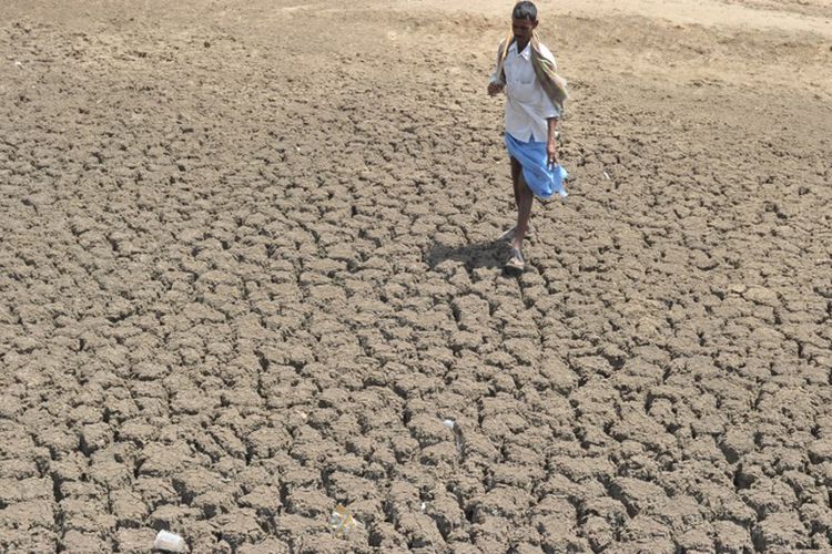 Seorang penggembala berjalan di atas sungai kering di distri Yadadri Bhuvanagiri, 55 kilometer dari Hyderabad pada tanggal 30 Mei 2017, di selatan provinsi Telangana, India.