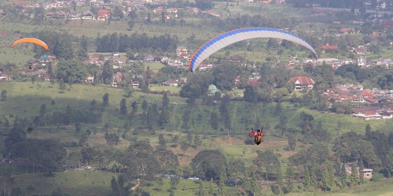 Pengunjung mencoba terbang dengan paralayang dari Bukit 250, Perkebunan Teh Gunung Mas di Cisarua, Kabupaten Bogor, Jawa Barat, Jumat (4/4/2013).