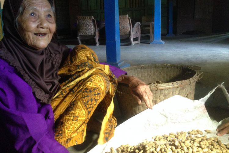 Mbah ponco sedang Beraktifitas memilih Lacang Tanah hasil panen