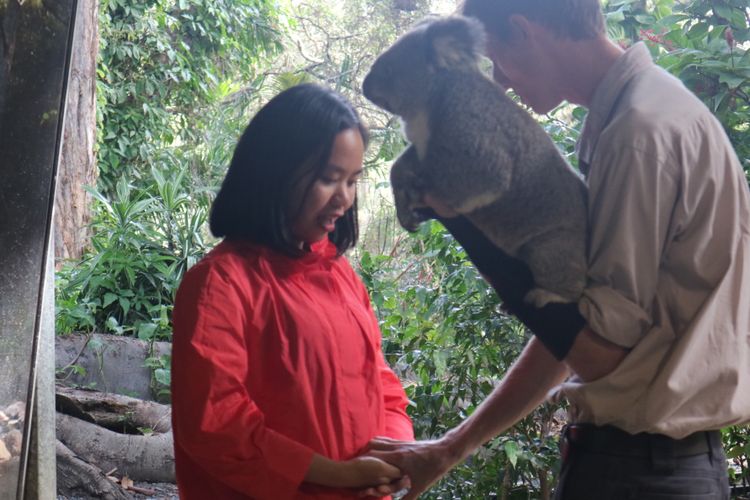 


Pemandu memberi arahan sebelun wisatawan dapat memeluk koala di Currumbin Wildlife Sanctuary, Gold Coast, Queensland, Australia.