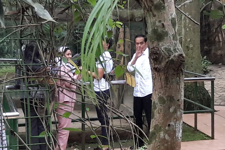 Presiden Joko Widodo beserta keluarga berlibur di Pusat Primata Schmutzer di Kebun Binatang Ragunan, Jakarta Selatan, Kamis (29/6/2017).