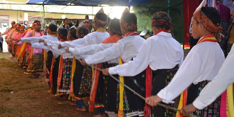 Para penari mulai menarik tali sambil bernyanyi dalam tradisi Umbiro pada perayaan pesta ke-54 tahun Sekolah Dasar Katolik Waekekik, Desa Ranakolong, Kota Komba, Manggarai Timur, Flores, NTT, Selasa (1/8/2017). 