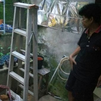 Maria Goretti, ibu Fidelis menunjukkan lokasi tempat menanam ganja dibagikan belakang rumahnya (3/4/2017)