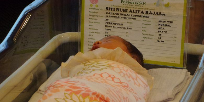 Anak ketiga pasangan Ketua Fraksi Partai Demokrat Edhie Baskoro Yudhoyono dan Siti Ruby Aliya Rajasa bernama Gayatri Idaliya Yudhoyono.  