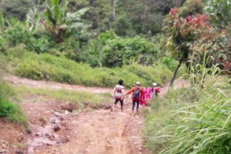 Demi berobat ke kota warga di Ulumanda, Majene sulawesi barat terpaksa ditandu warga puluhan kilometer secara bergantian. Karena jarak perjalan yang melelahkan melintasi pegunungan terjal mebuat pasien dan warga yang mengantarnya harus bertirahat sebelum tiba di puskesmas terdekat.